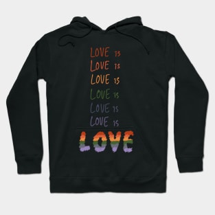 Love is Love is Love is LOVE Hoodie